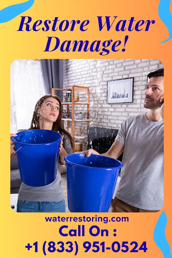 water restoration Local Flood Cleanup Masters Sherrill