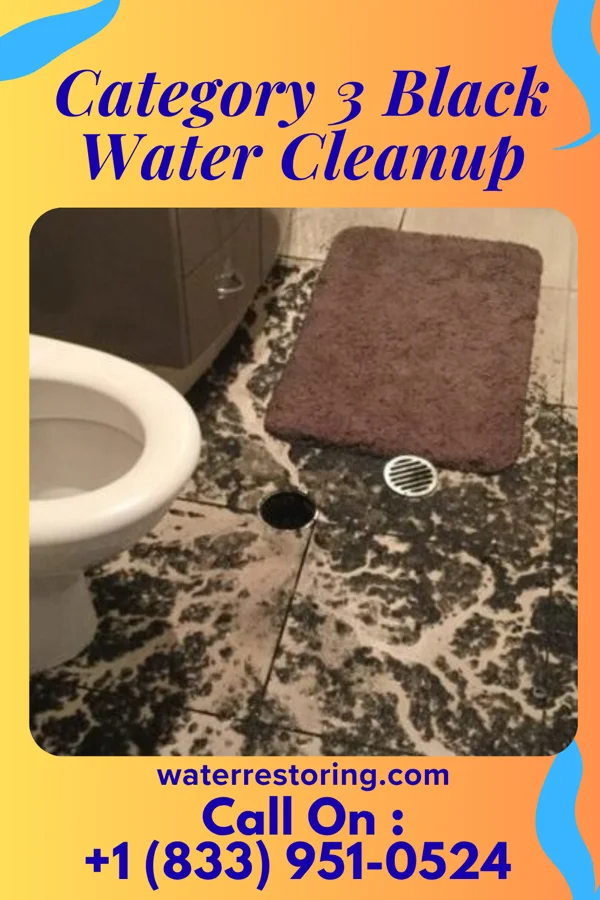 Category 3 Black Water Cleanup in Sherrill, IA