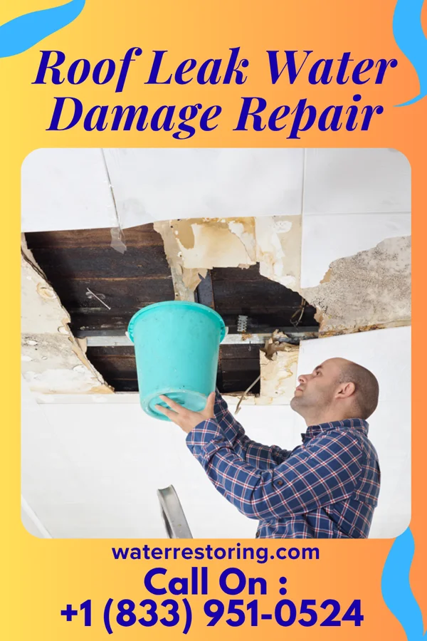 Roof Leak Water Damage Repair in Sherrill, IA